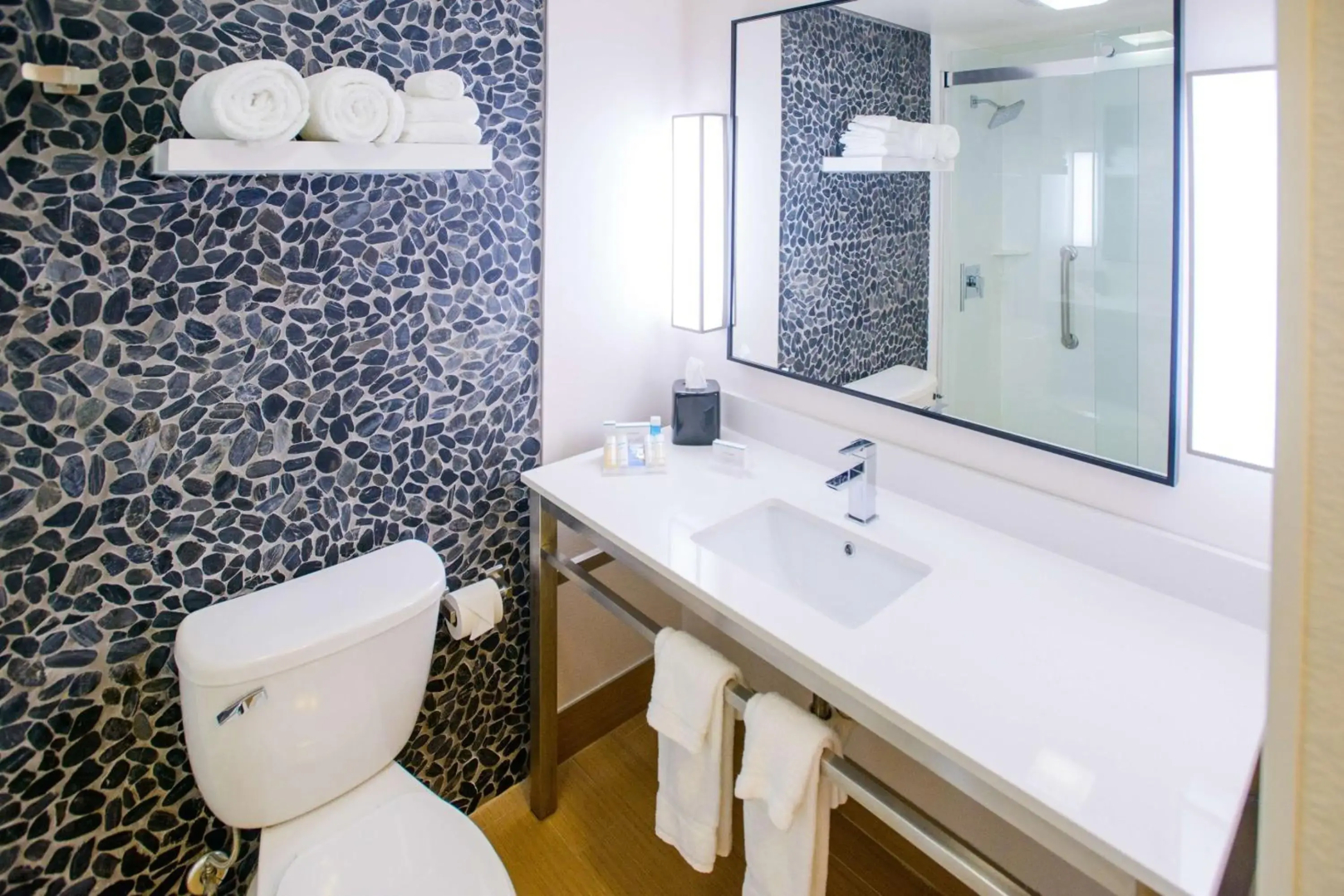 Hilton Garden Inn Rochester Downtown, MN