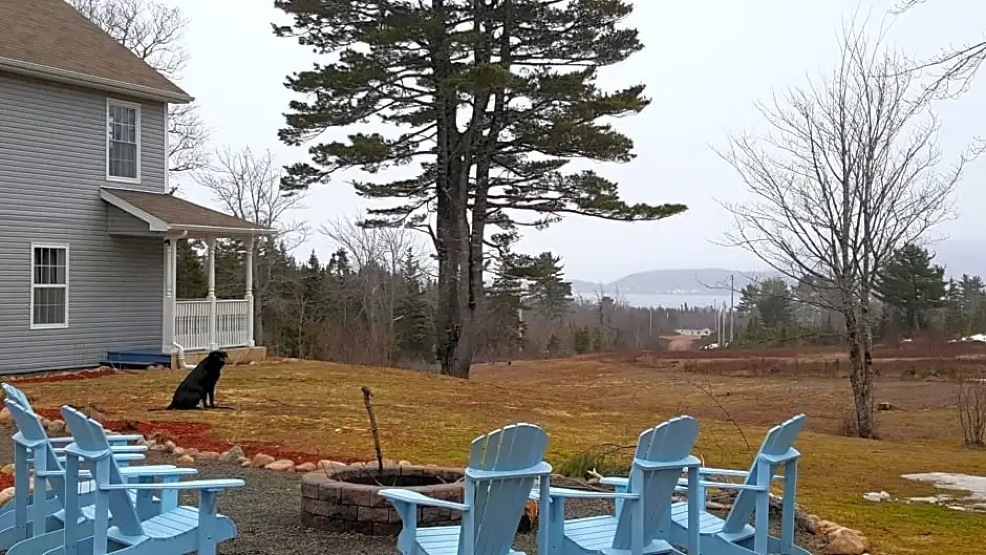 20 Acre Woods Bed and Breakfast