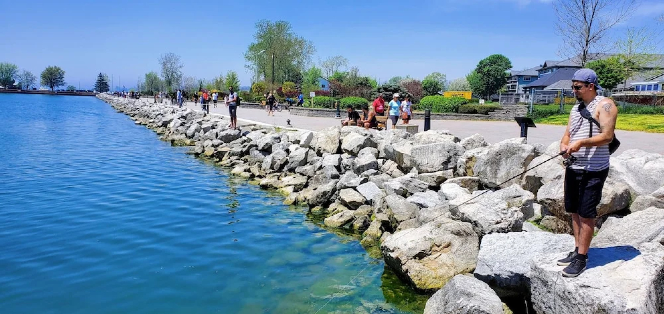 Coastal #1 and Cozy #2 - Seacliff Beach Suites