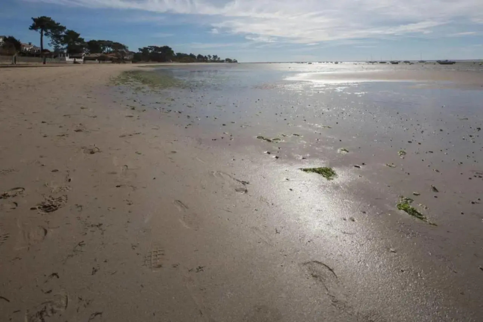 T2*** haut de gamme avec vue bassin