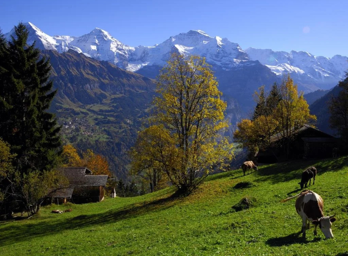 Hotel-Restaurant Waldrand