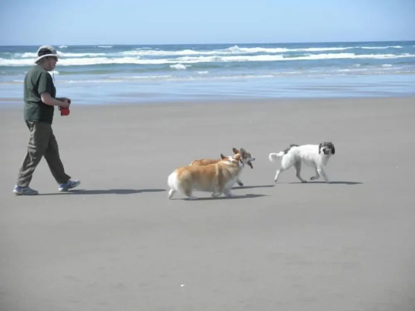 Tillicum Beach Motel (Deane's Oceanfront Lodge)