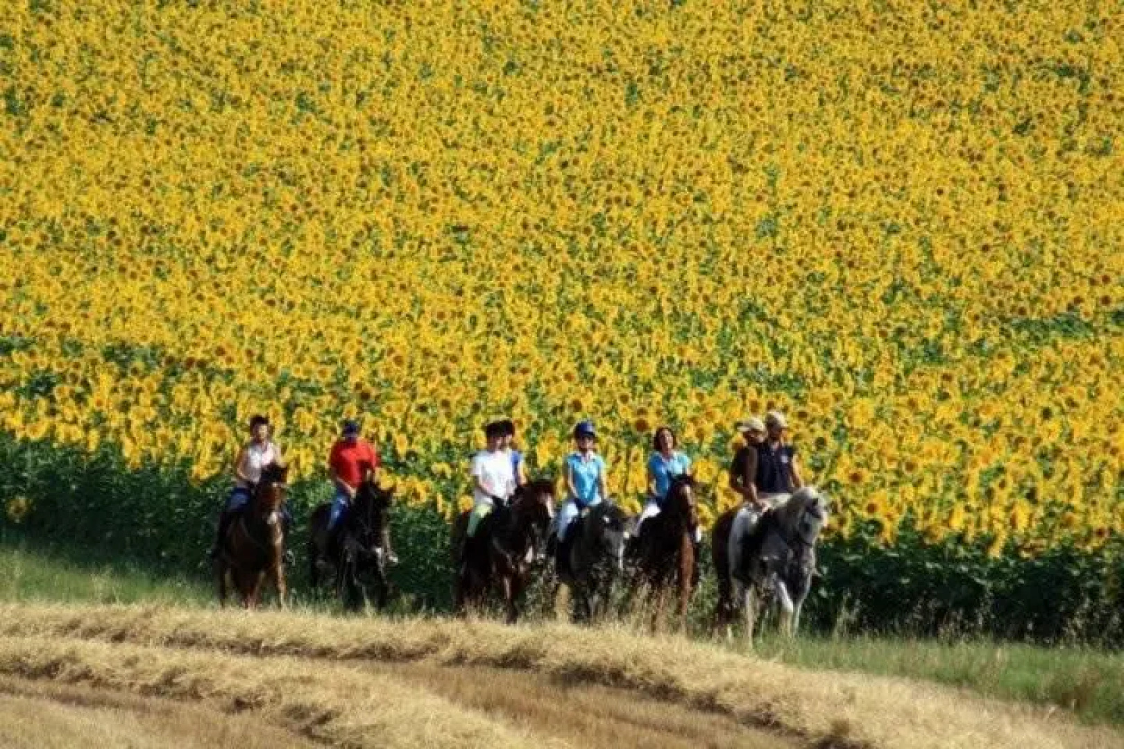 B&B Centro Ippico Andrea