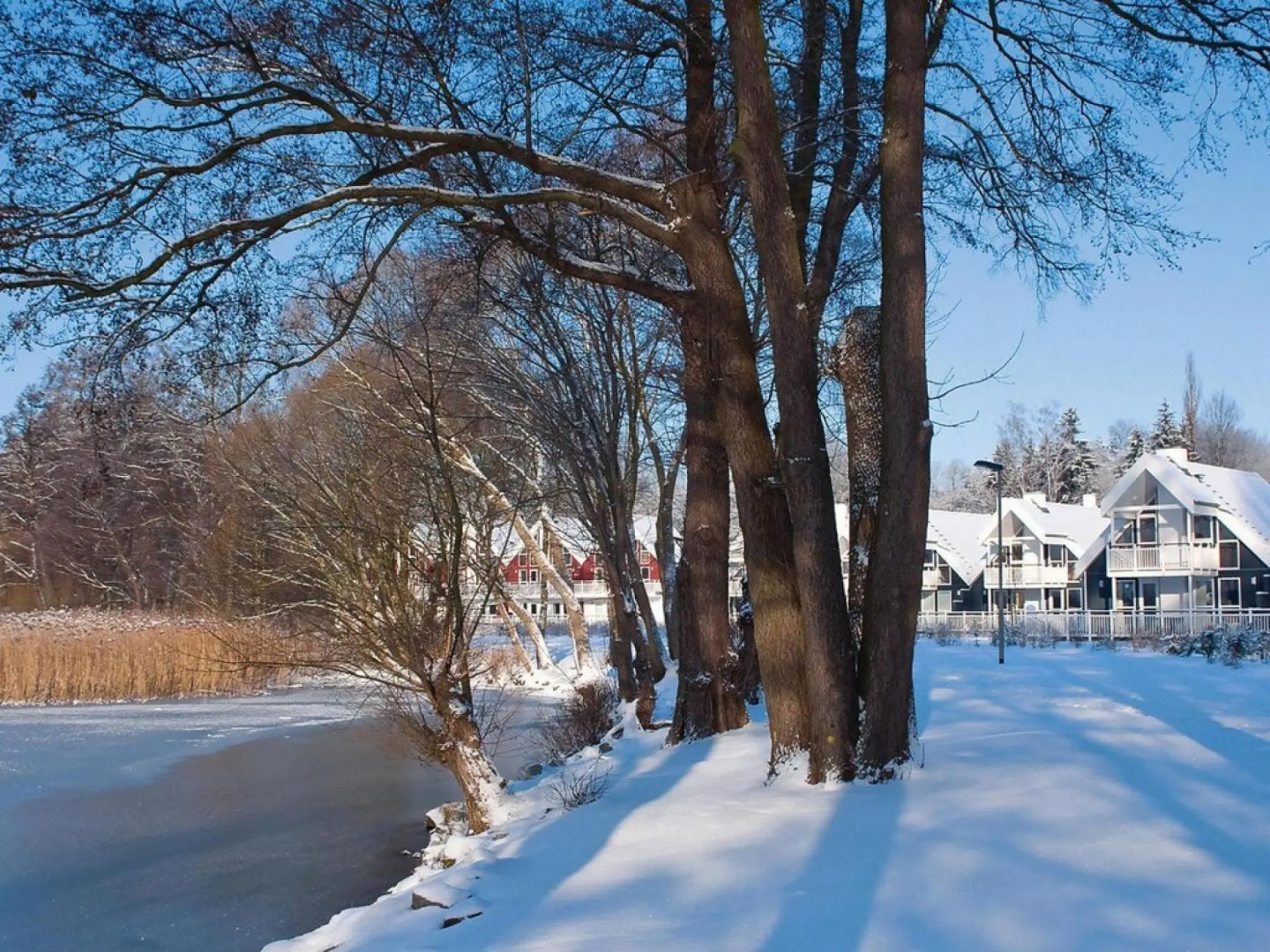 Terraced houses in the Bad Saarow Castle Park, Bad Saarow