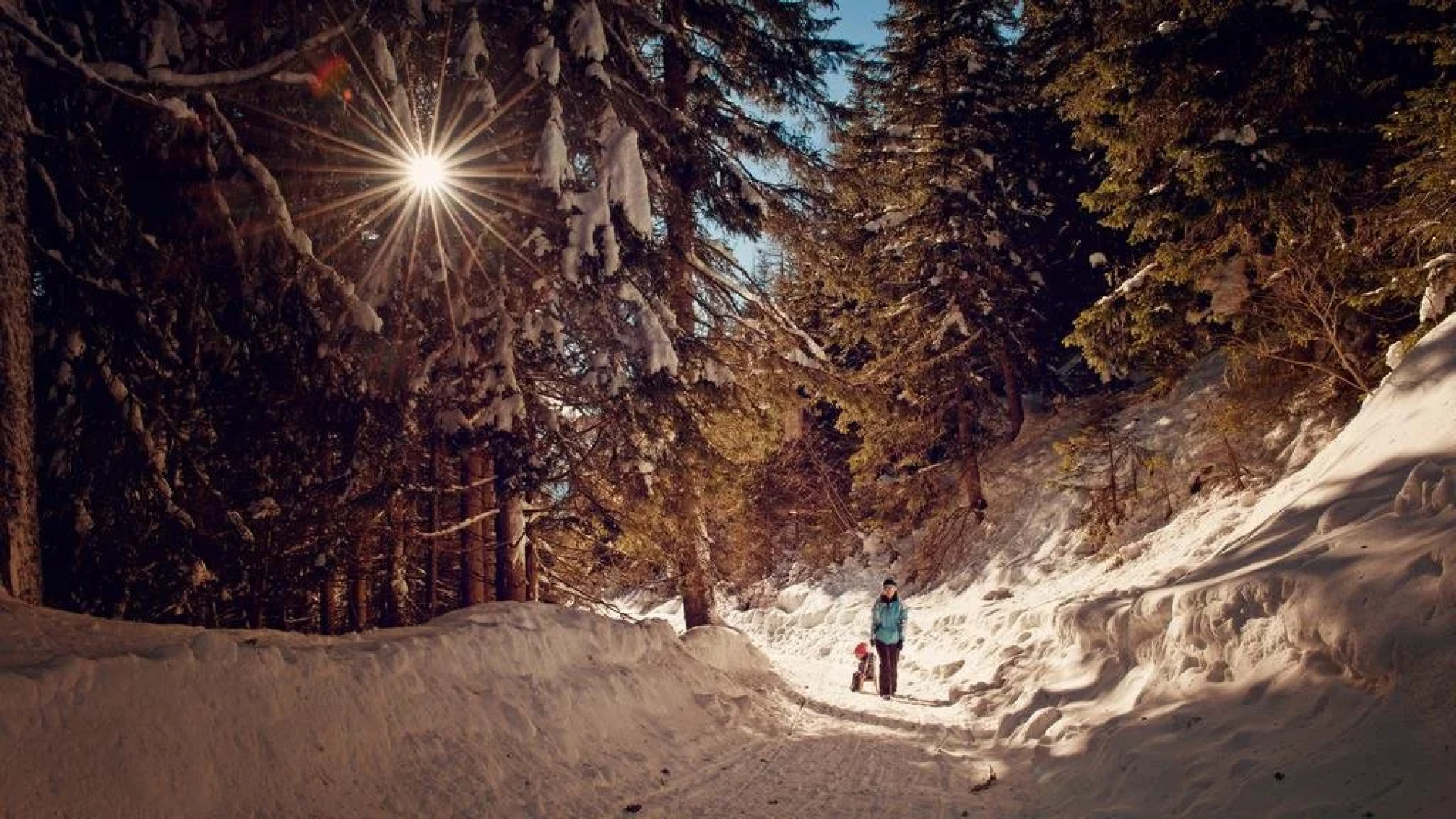 Ferienhaus Ramsbacher