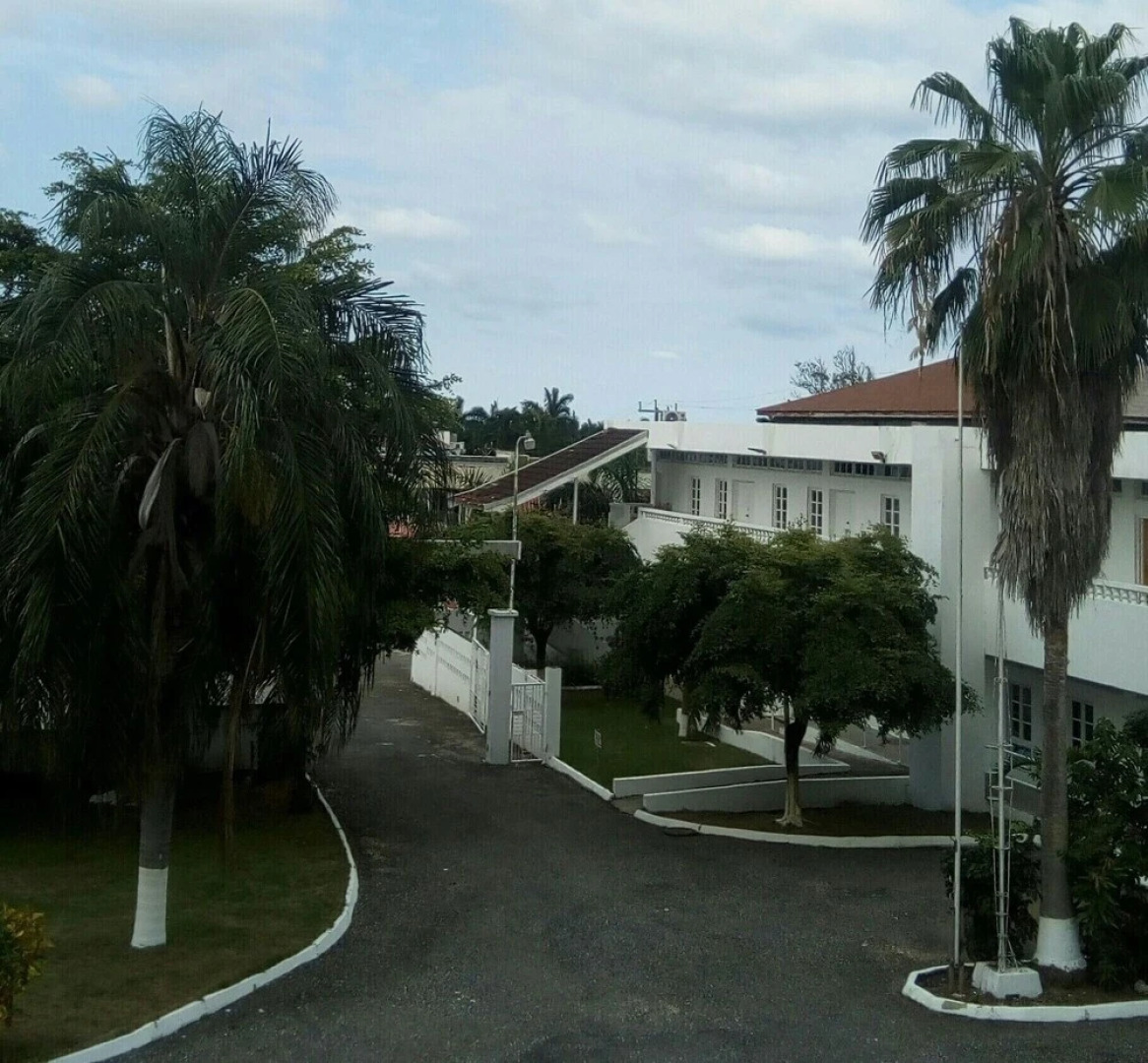 Sea Shell Palms