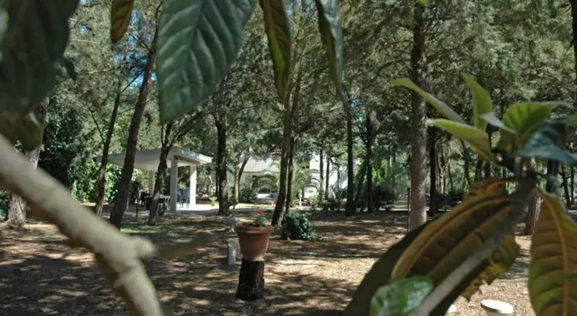 B&B La Pineta di Jovia