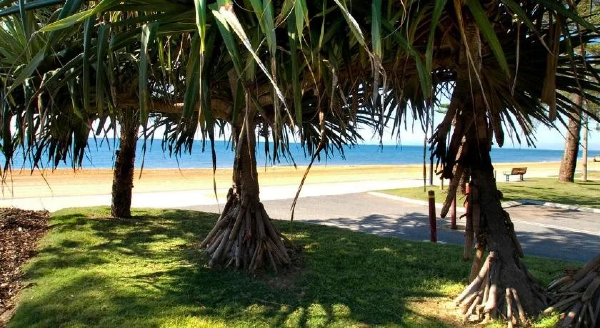 Sutton Beach Apartments