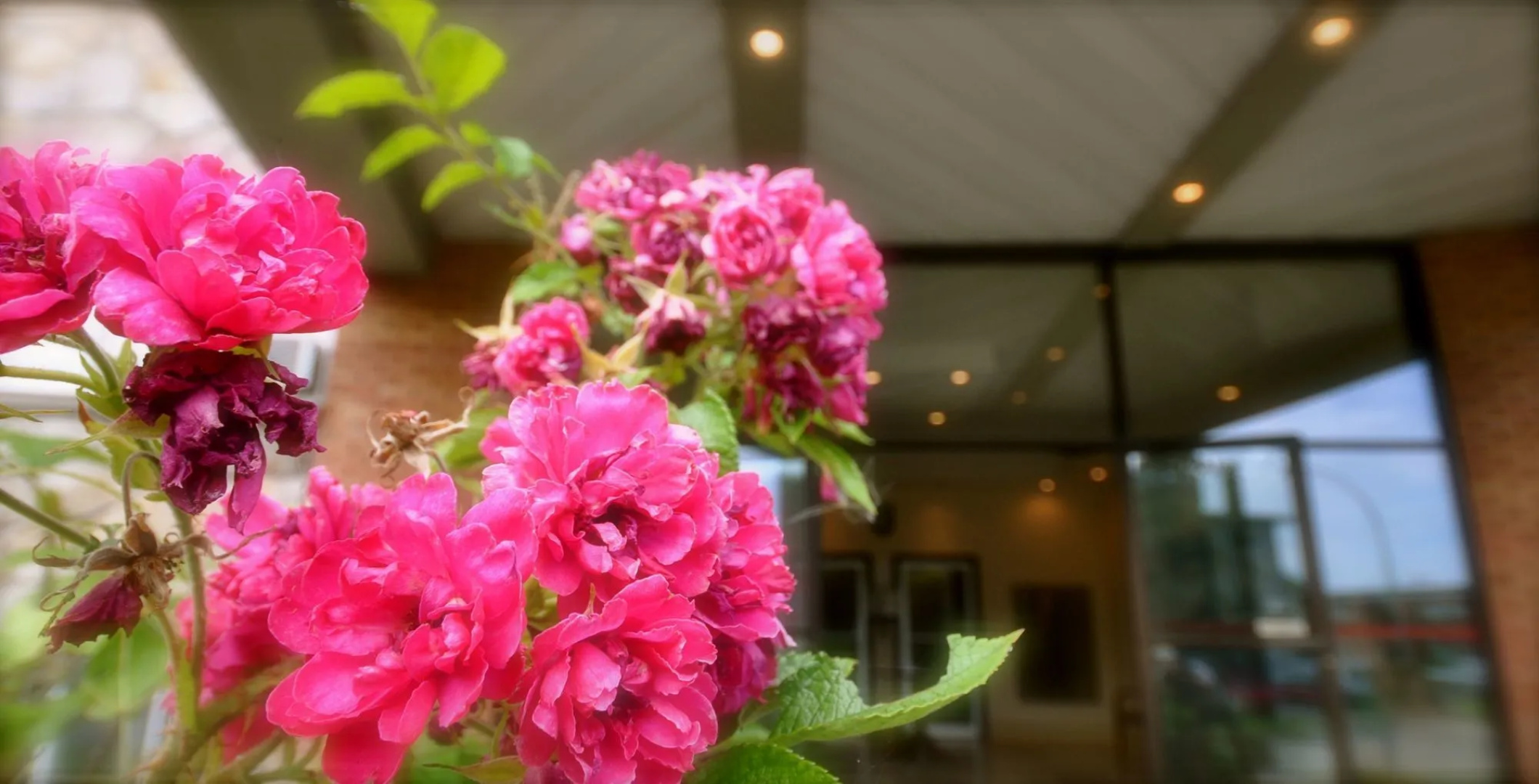 Beausejour Apartments - Hotel Dorval