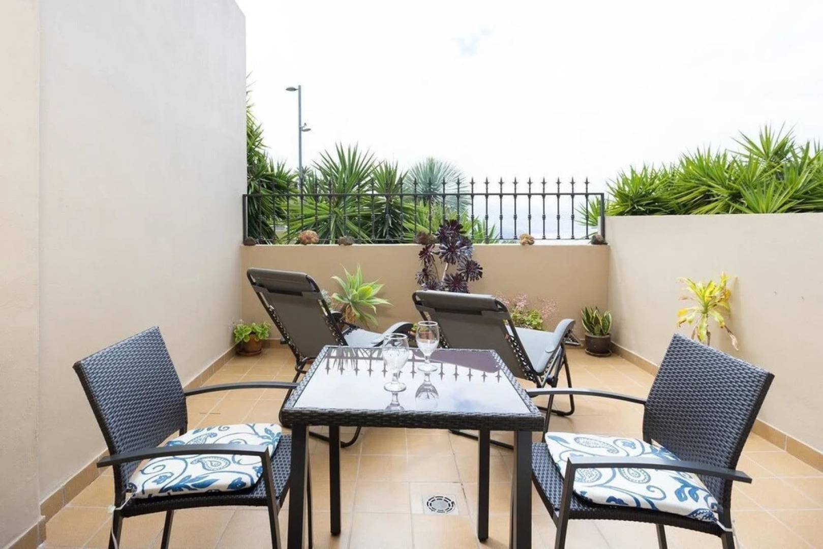 Live Sauzal Los Ángeles