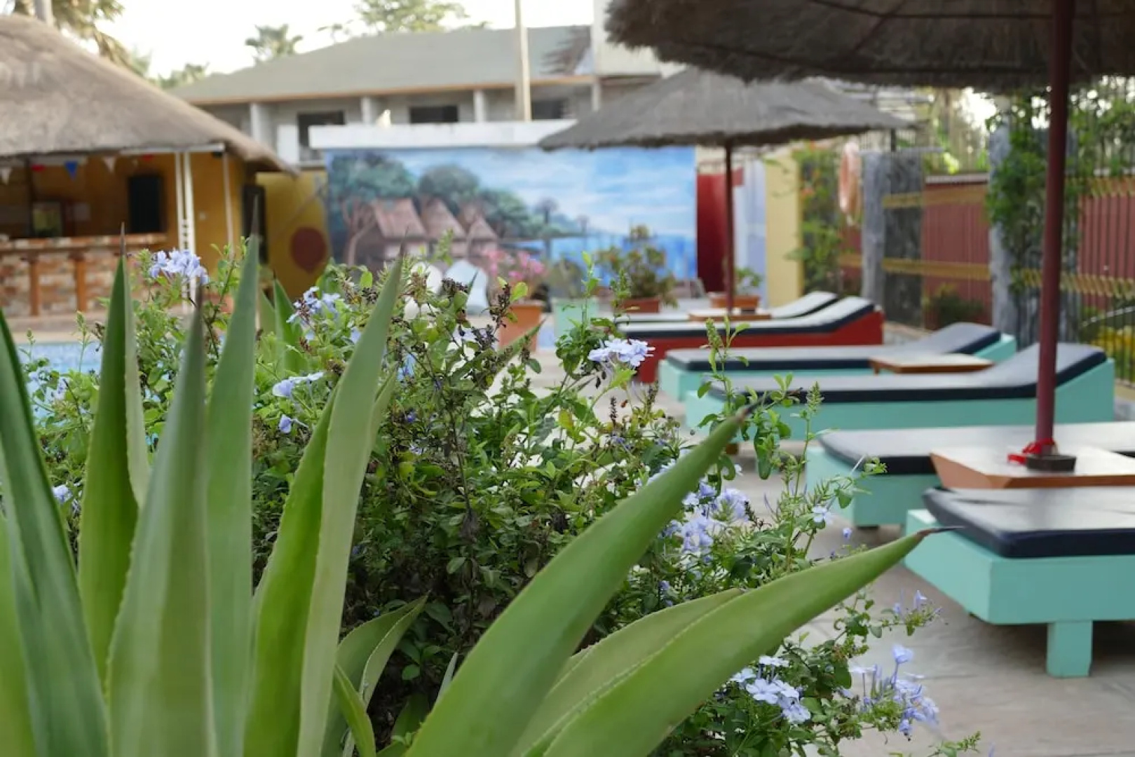 Calabash Residence Apartments