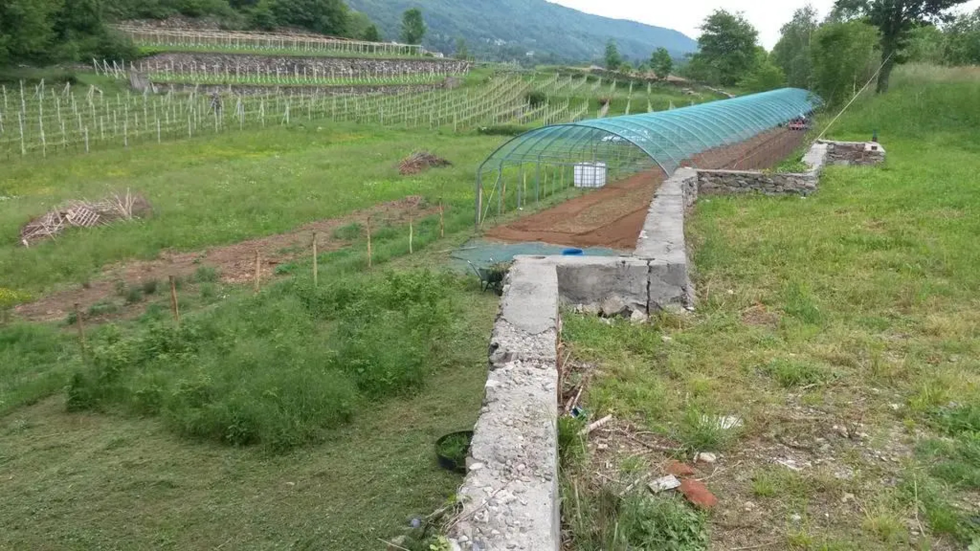 Agriturismo La Campagnetta