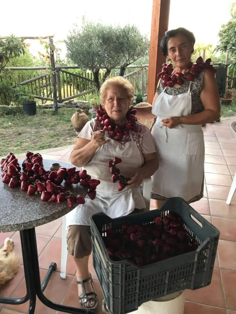 Agriturismo Torre Cocciani