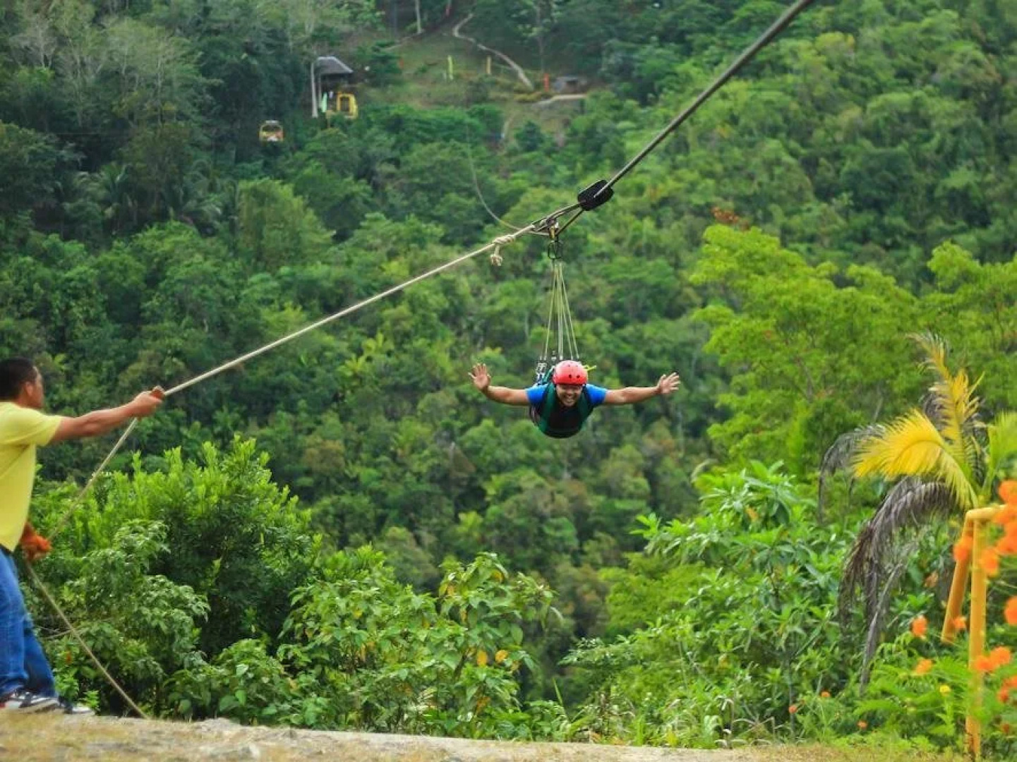 Fox & The Firefly Cottages