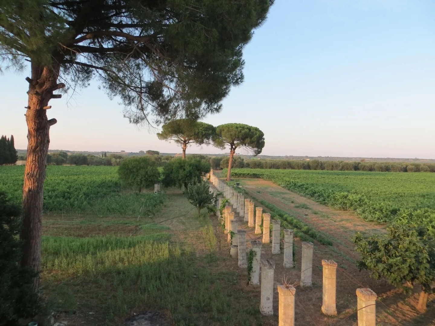 Agriturismo Occhineri