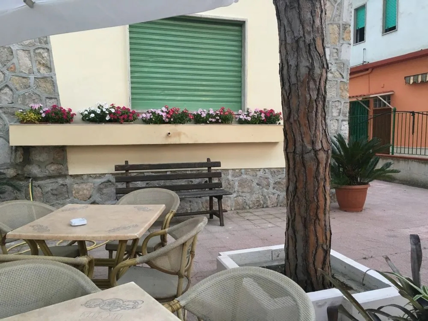 La Casa nella Pineta