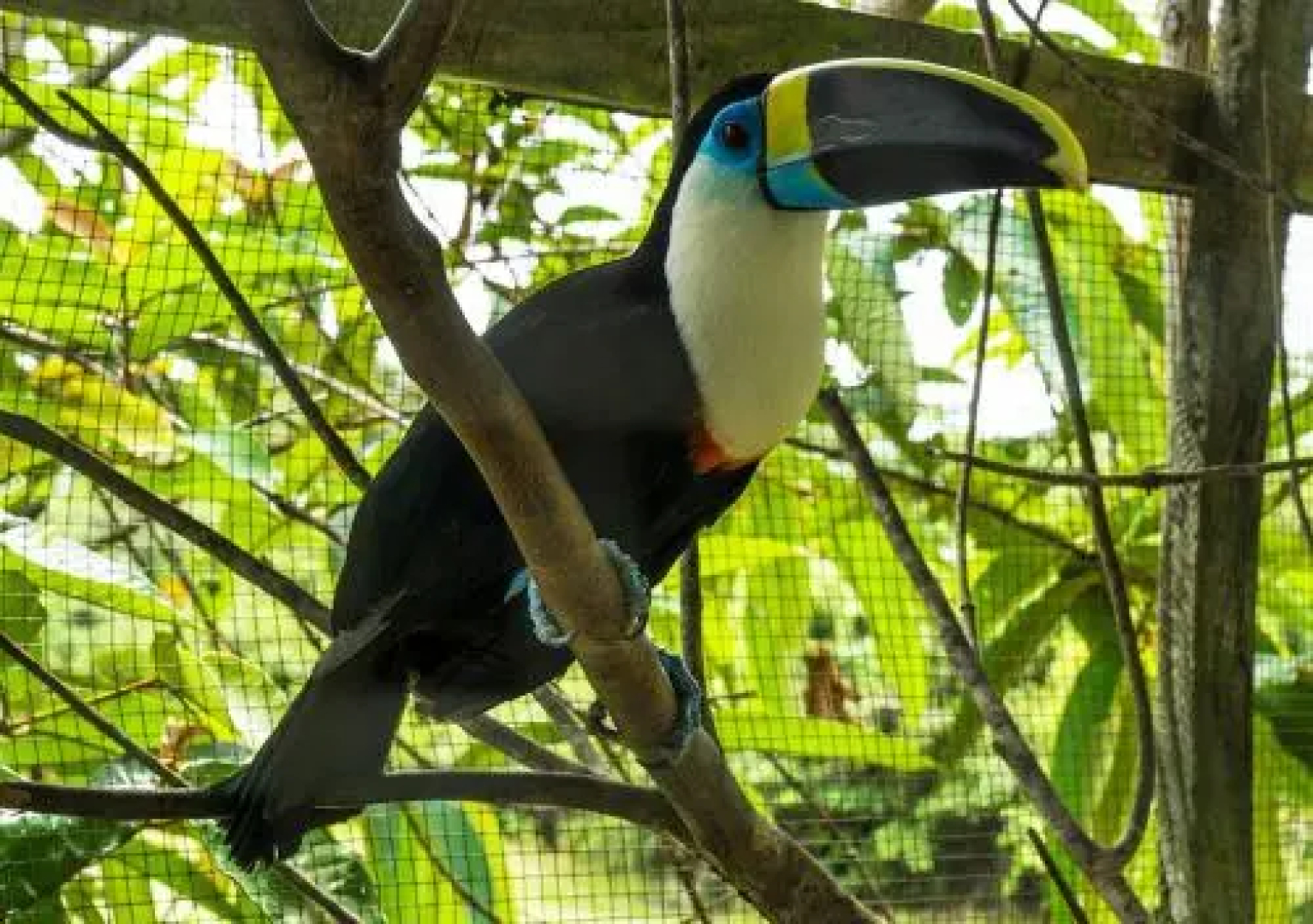 Amazon Oasis Lodge