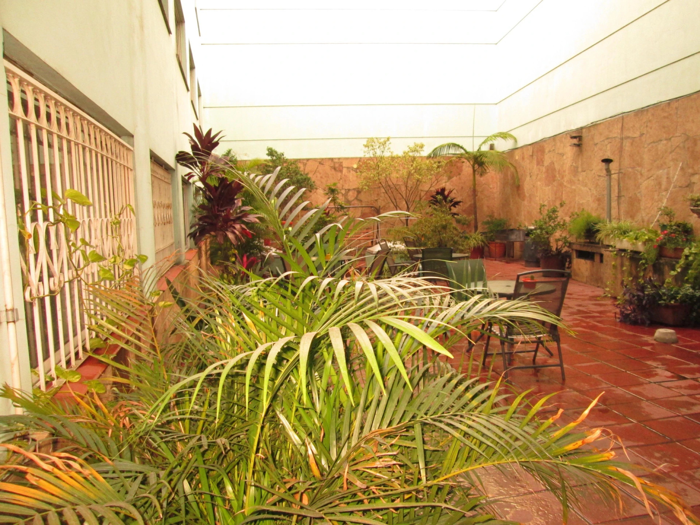 Hotel Luey