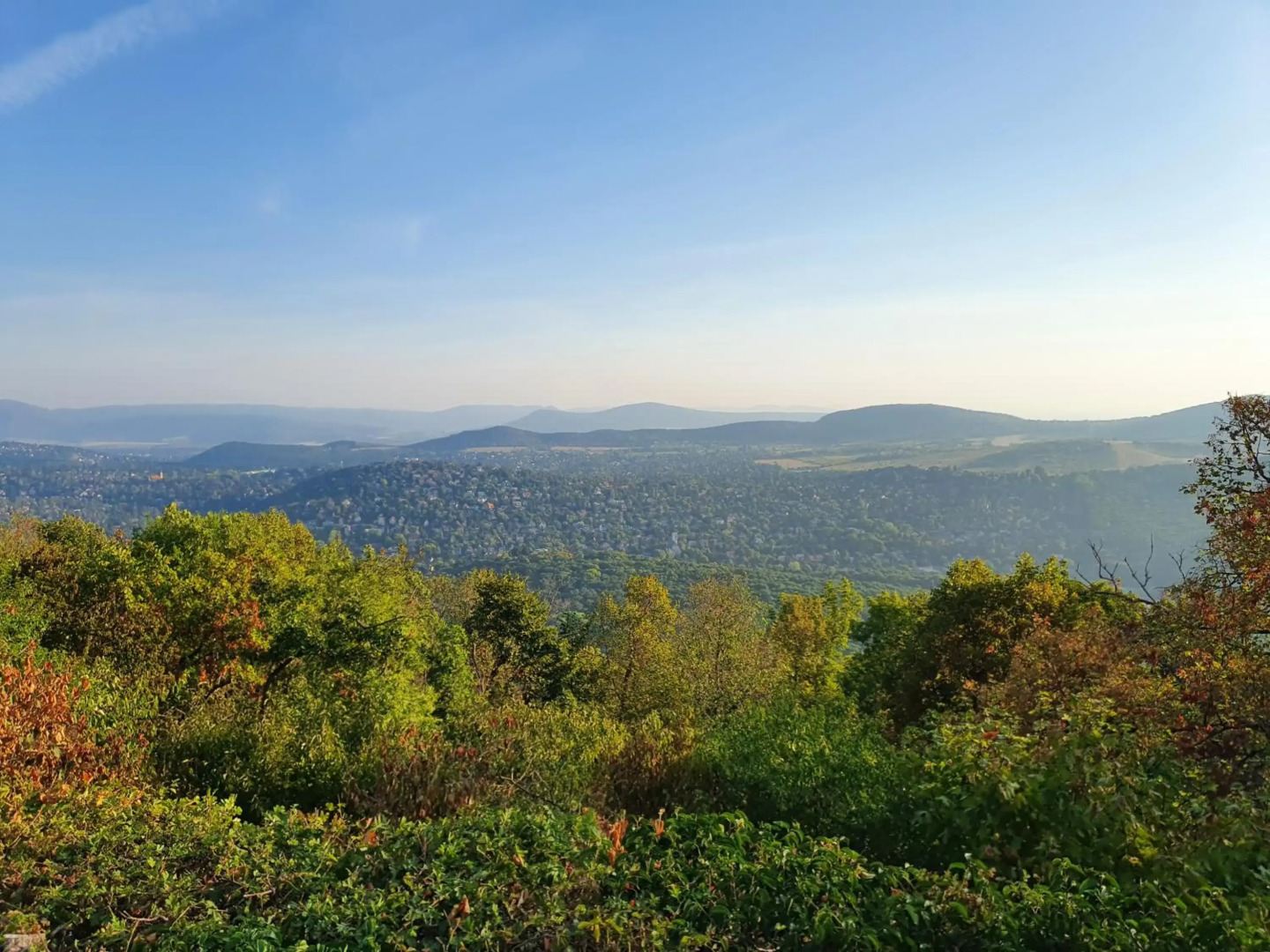 Zöld Relax Apartments