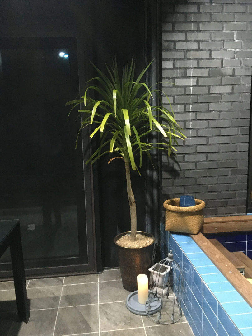 Lim Sea Side Poolvilla Pension