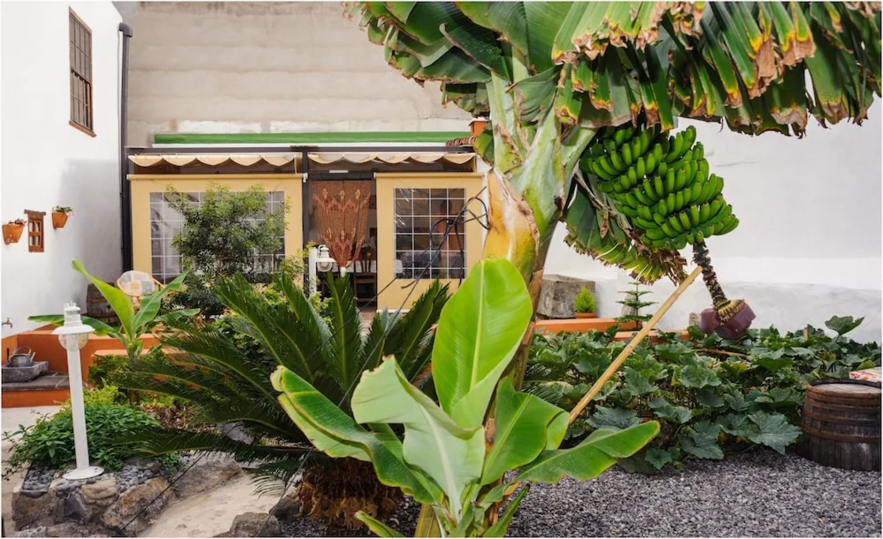 B&B Buenavista del Norte