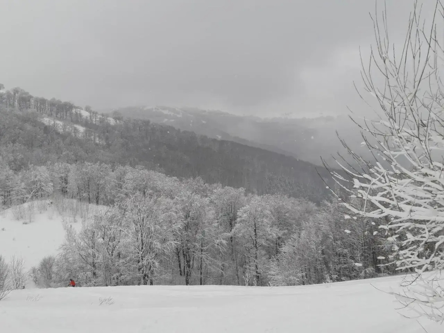 Guest house Gostynna Rodyna