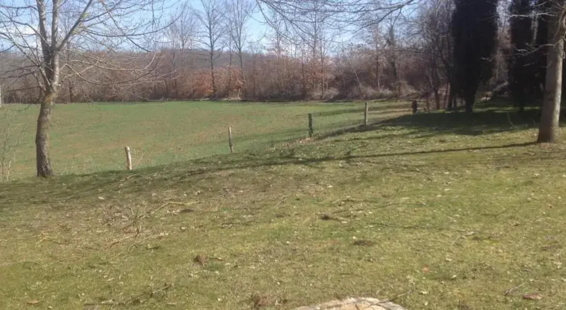 Passeggiate nel Verde Estremo