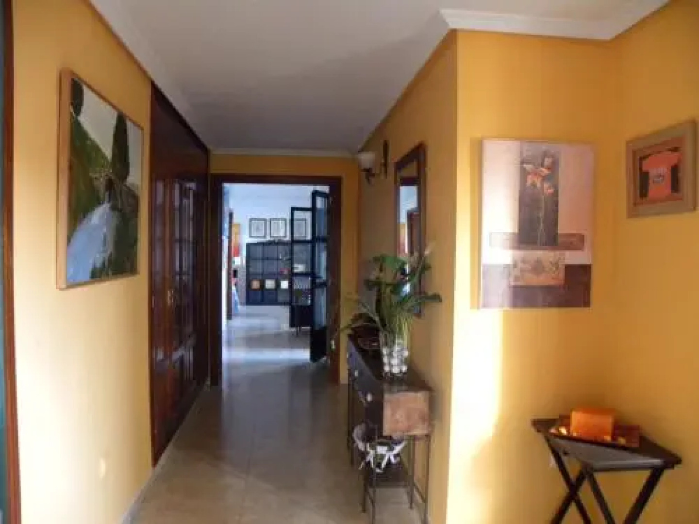 El Jardin de los Gatos Apartament