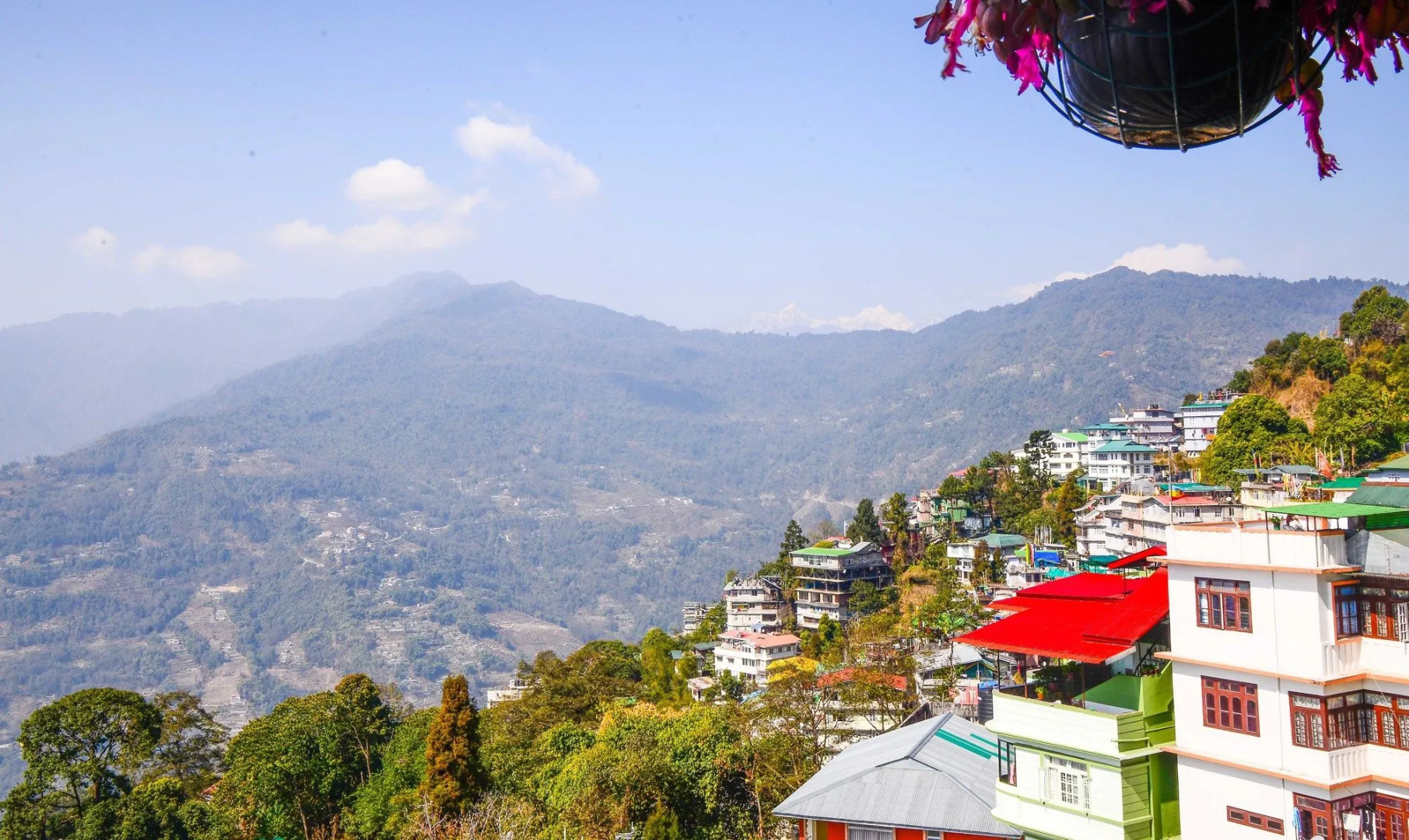 Treebo Trend The Nettle and Fern Hotel