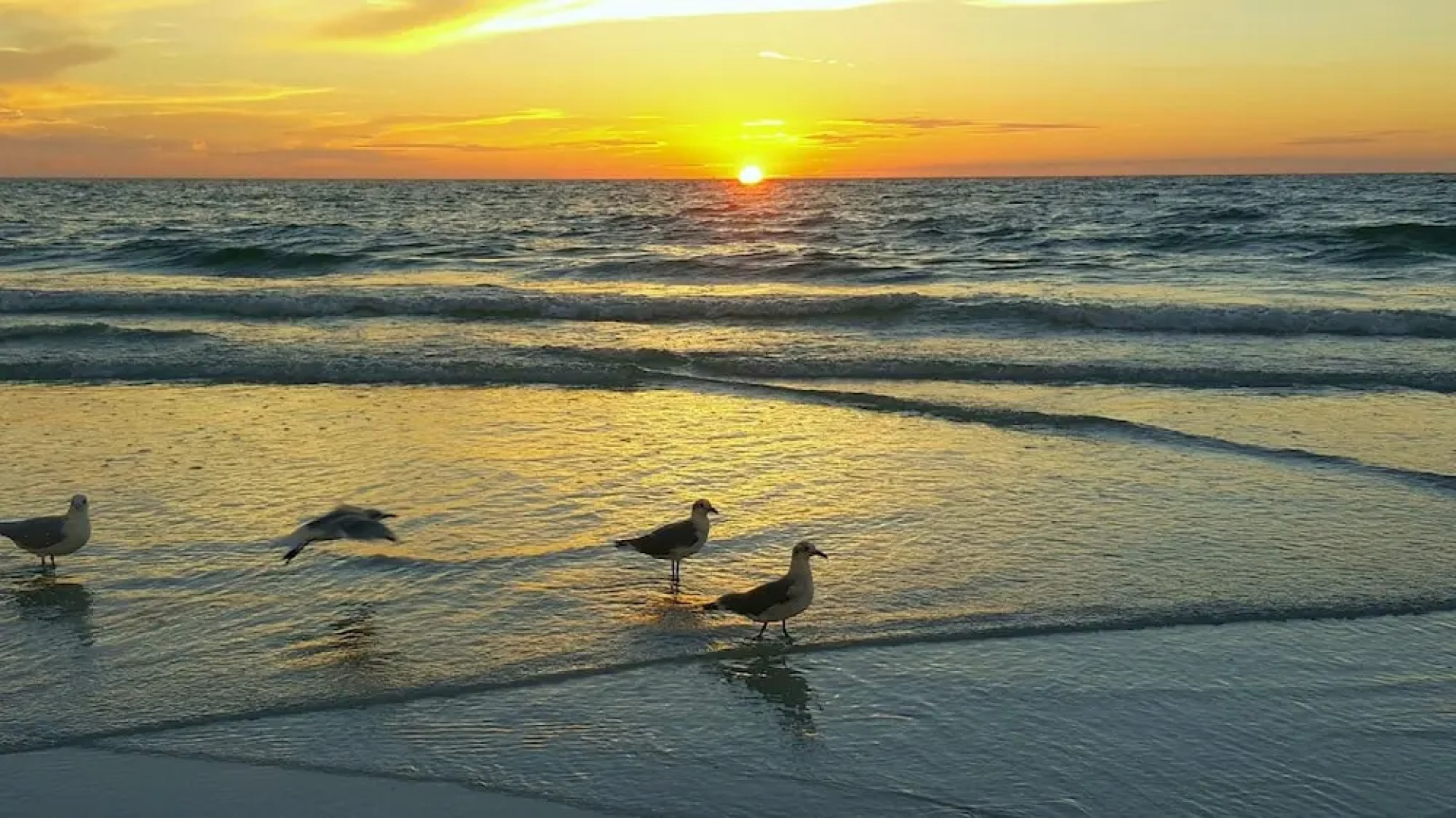 Treasure Island Vacations by TechTravel