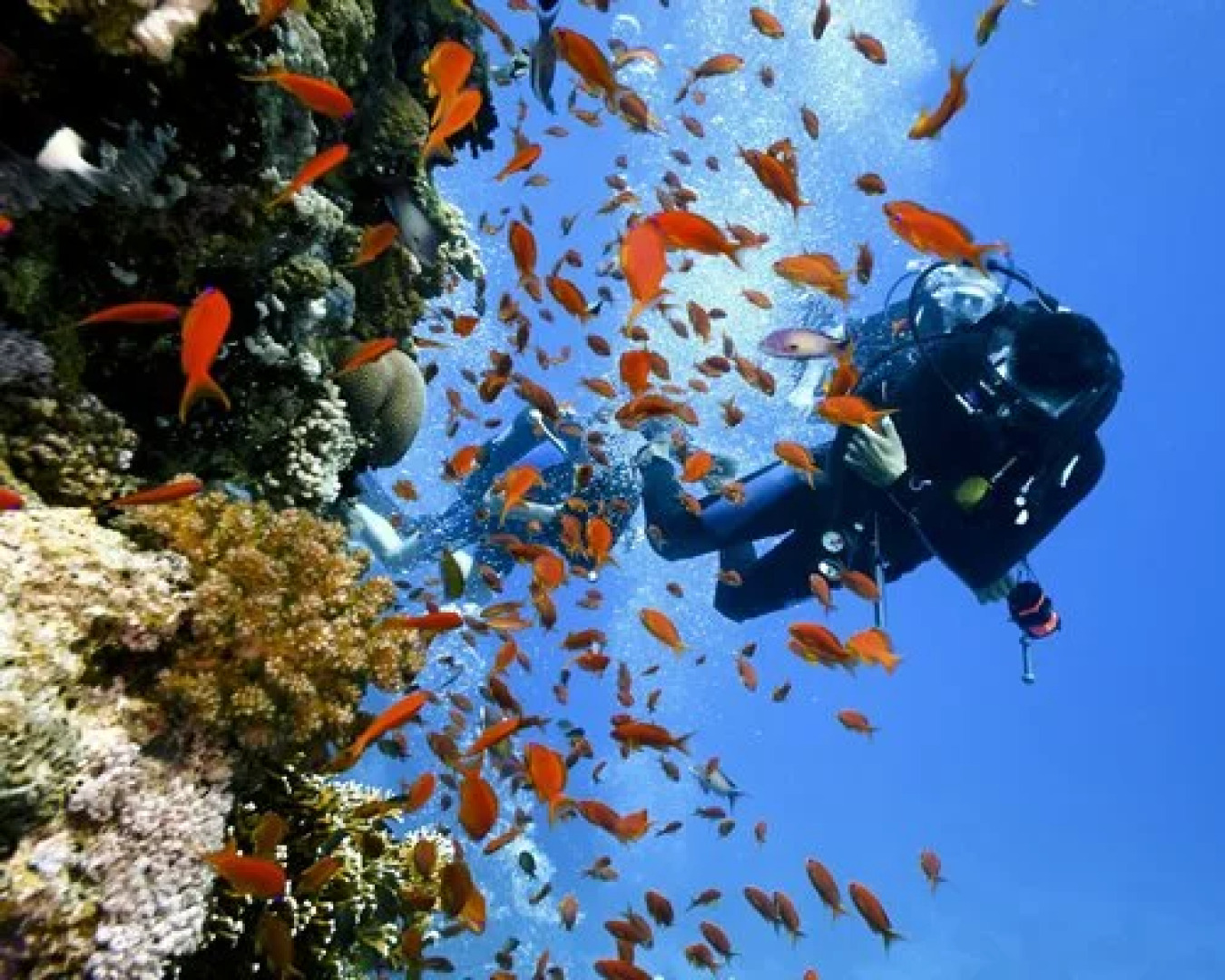 TradeWinds Exumas, Great Exuma, Bahamas