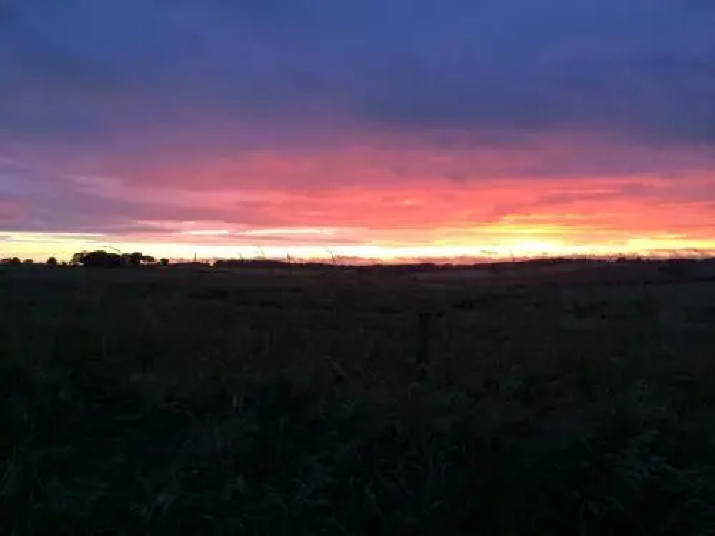 Shallowplough Bed & Breakfast