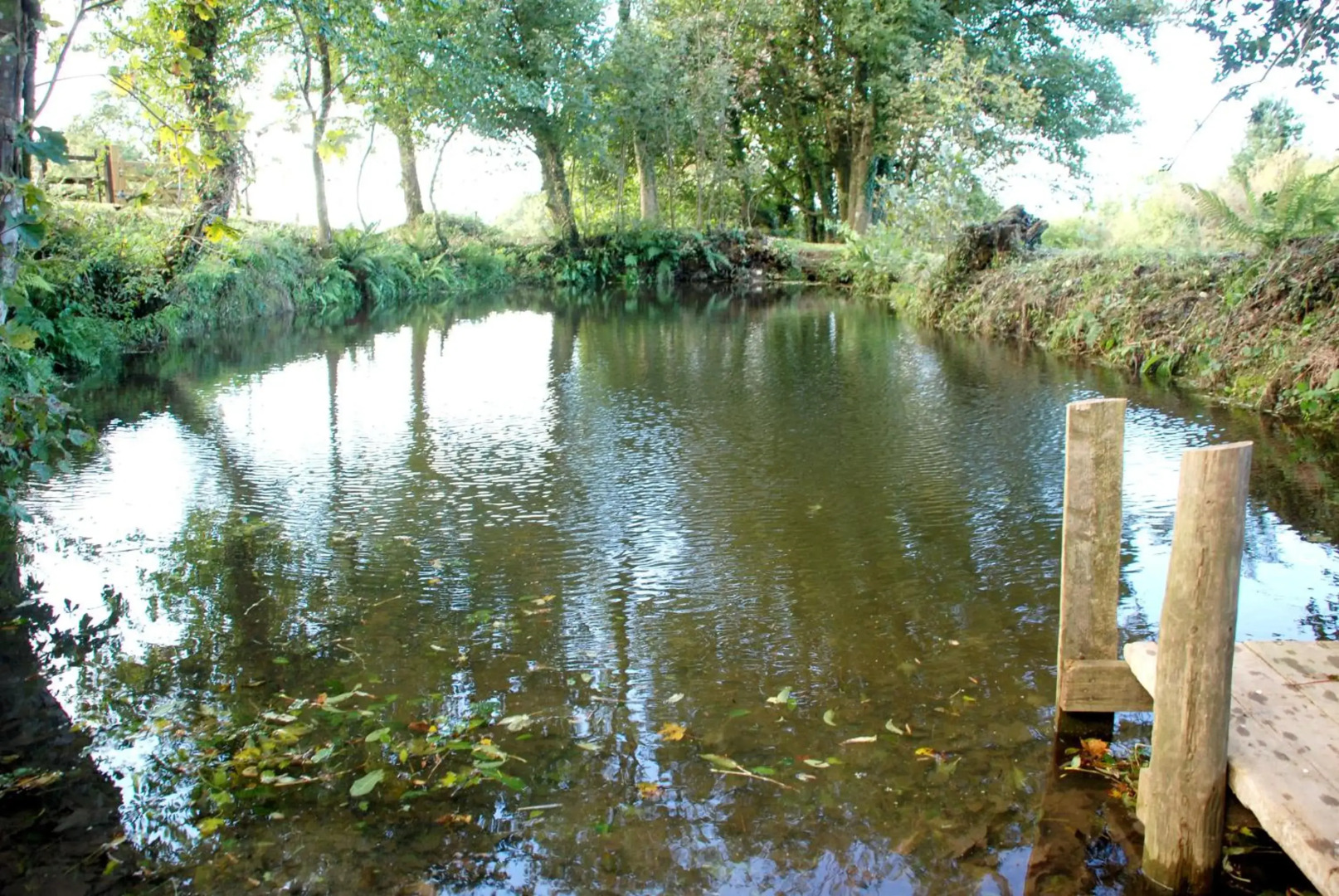 Kerswell Farm Shepherd Huts