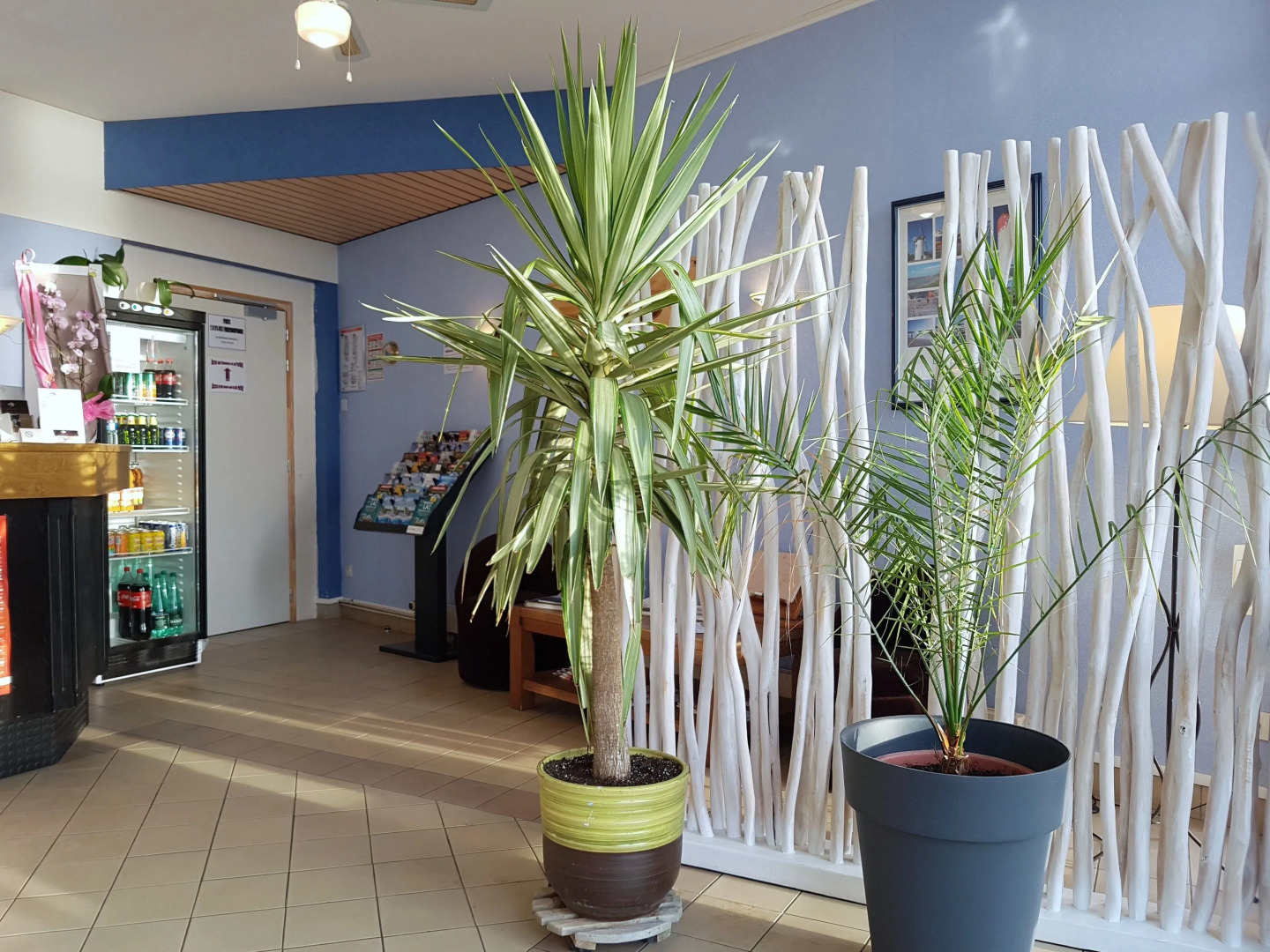 Les Chants d'Ailes - Hôtel Face Mer