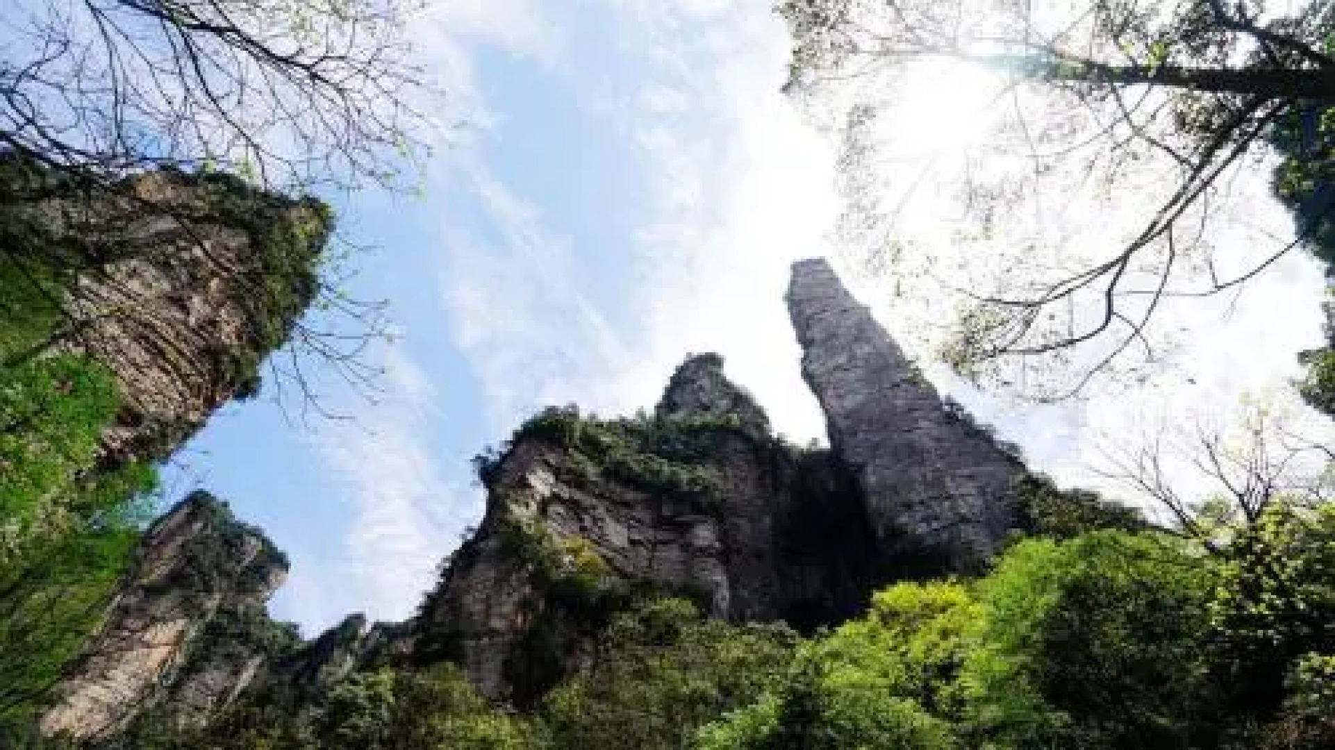 Zhangjiajie Forest Park Qinyuan Hotel