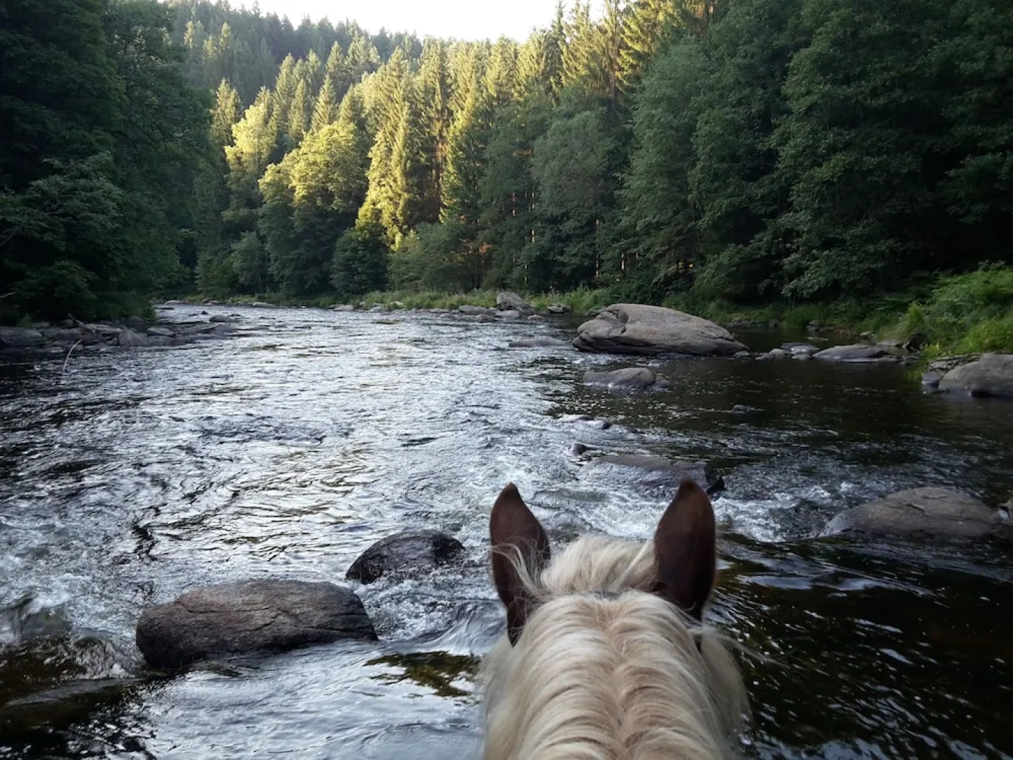 Ferienwohnung Schmalzgrub