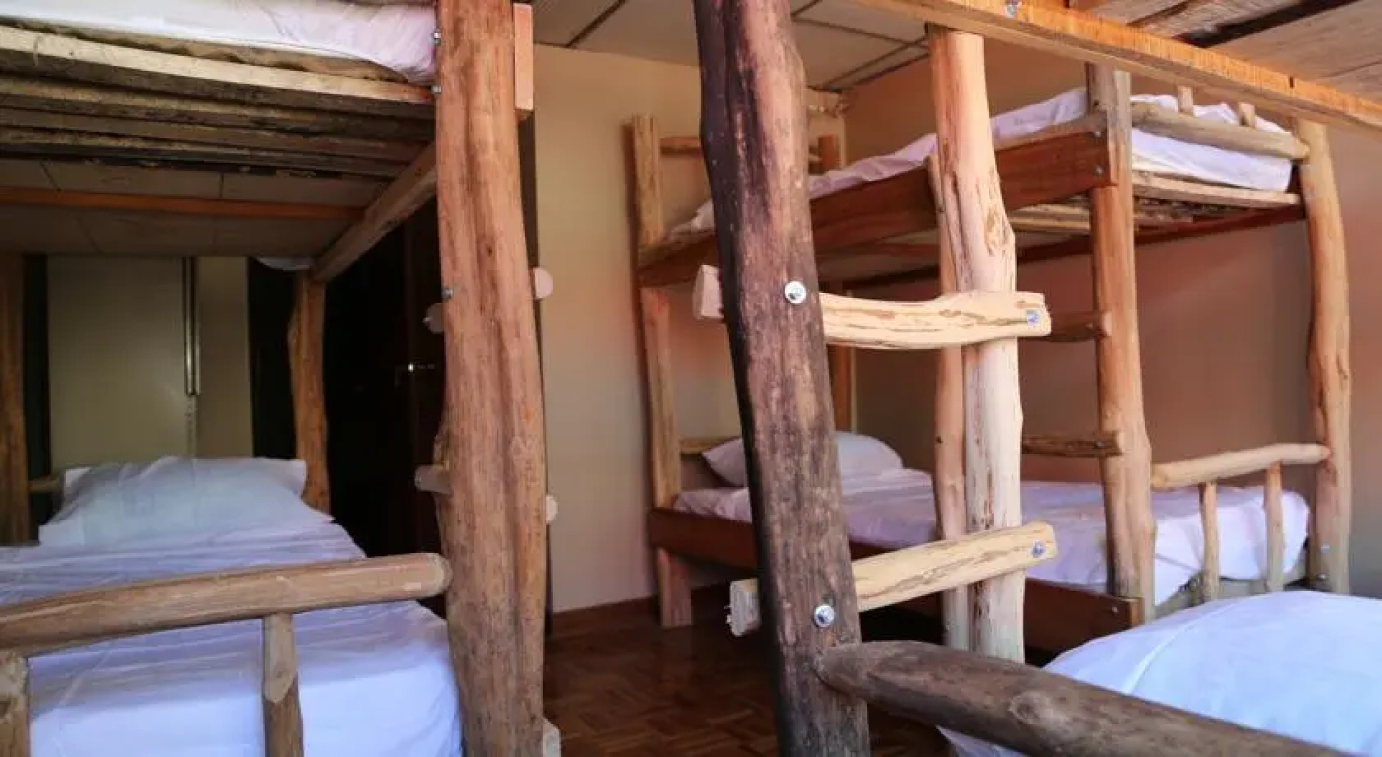 Golden Frog Hostel