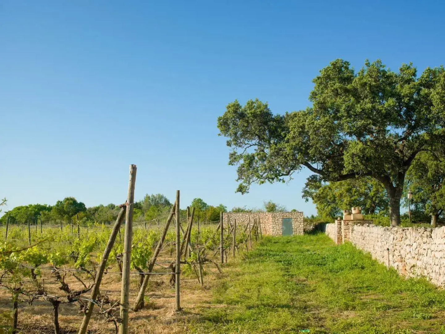 Hotel Sa Bassa Rotja Ecoturisme