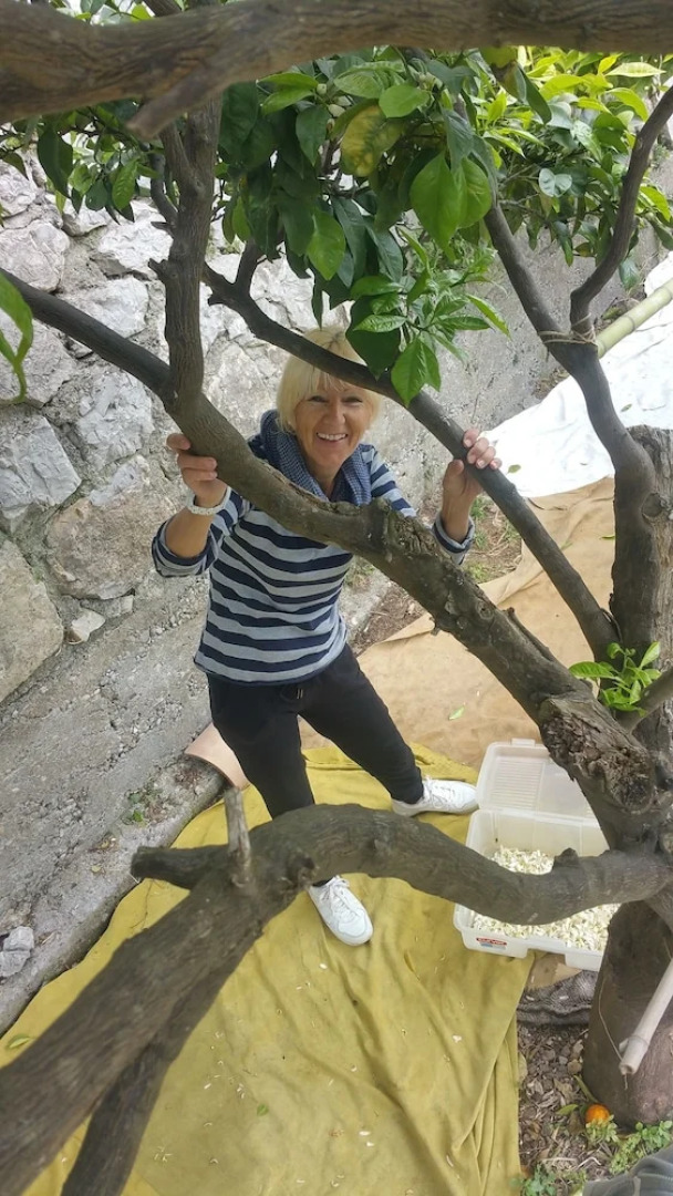 Chambres d'hotes La Bigarade