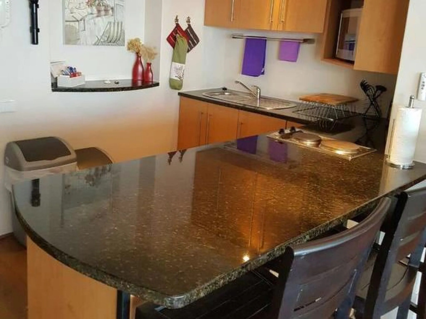 Royal Whale Watching