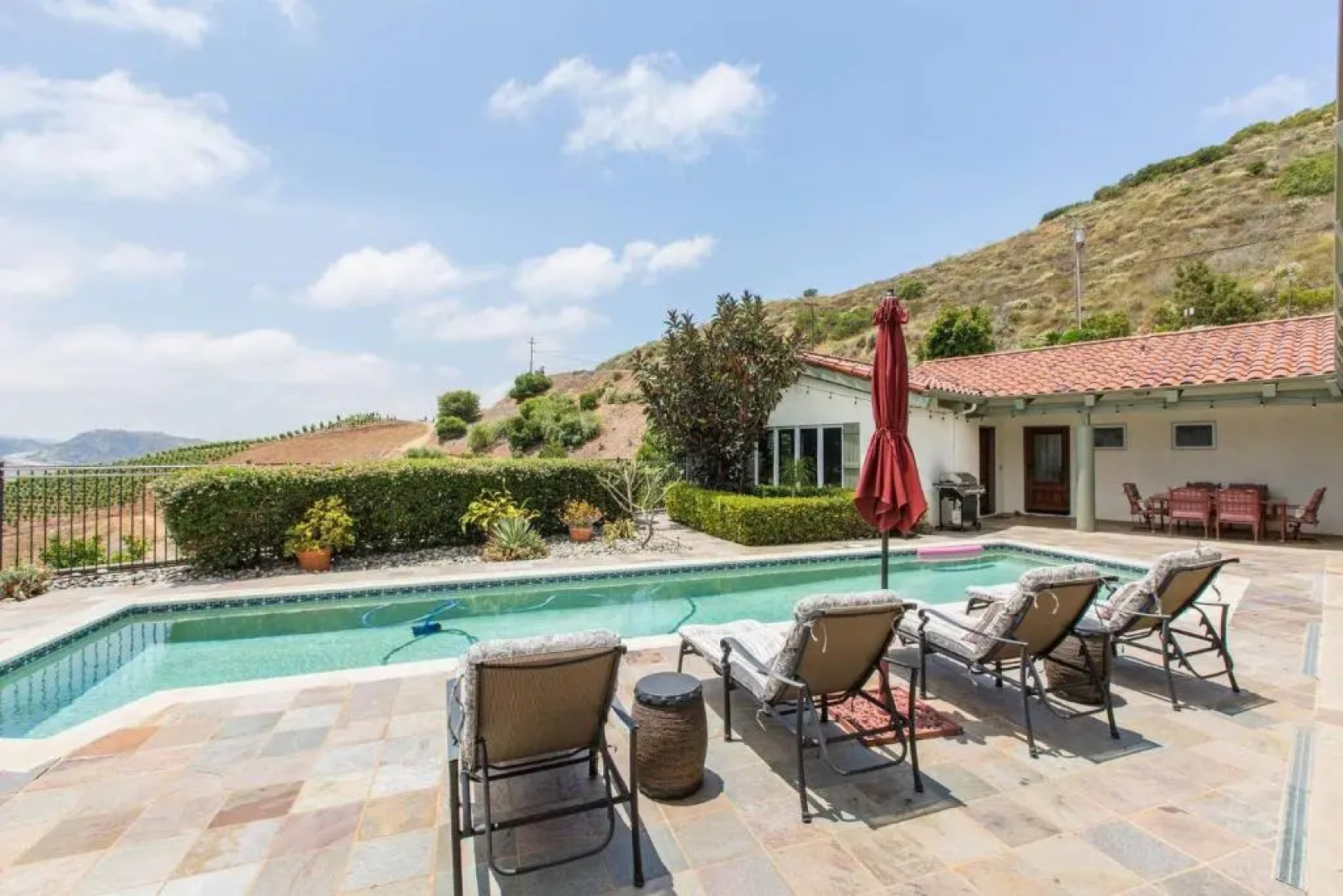 Wine in Doubt, Catch a Red I - Active Winery Home