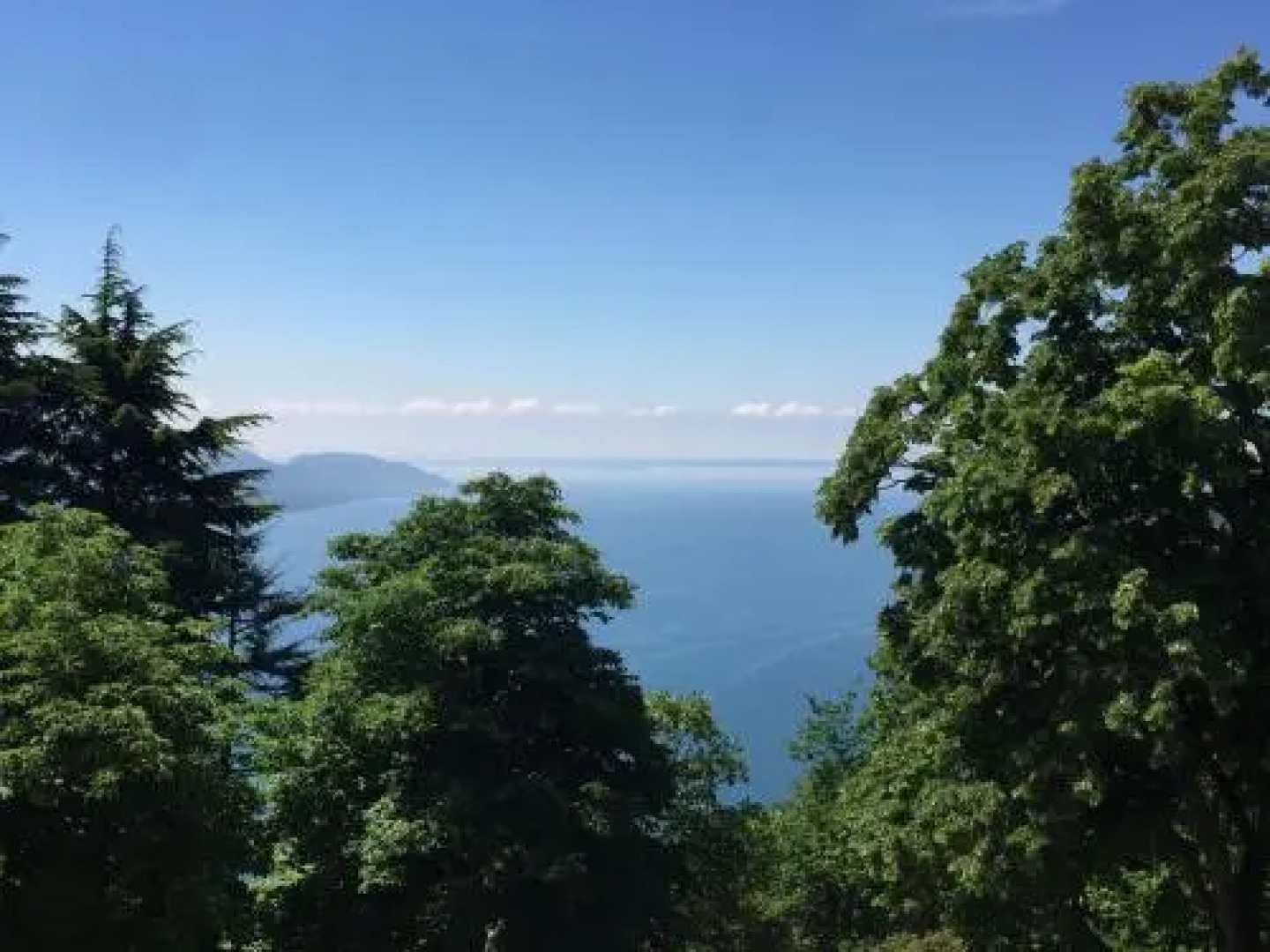 Verdeulivo Relax Home