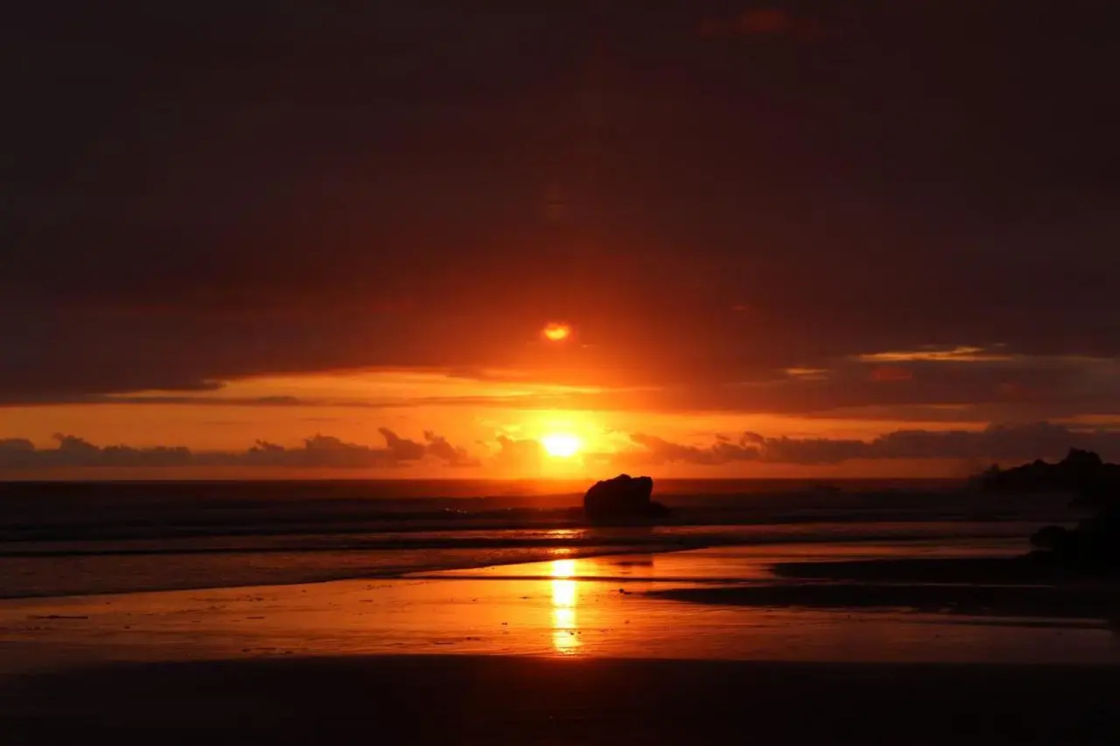 Posada olivacea