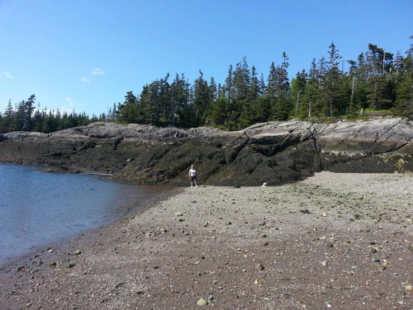 Harbour Tide Inn B&B