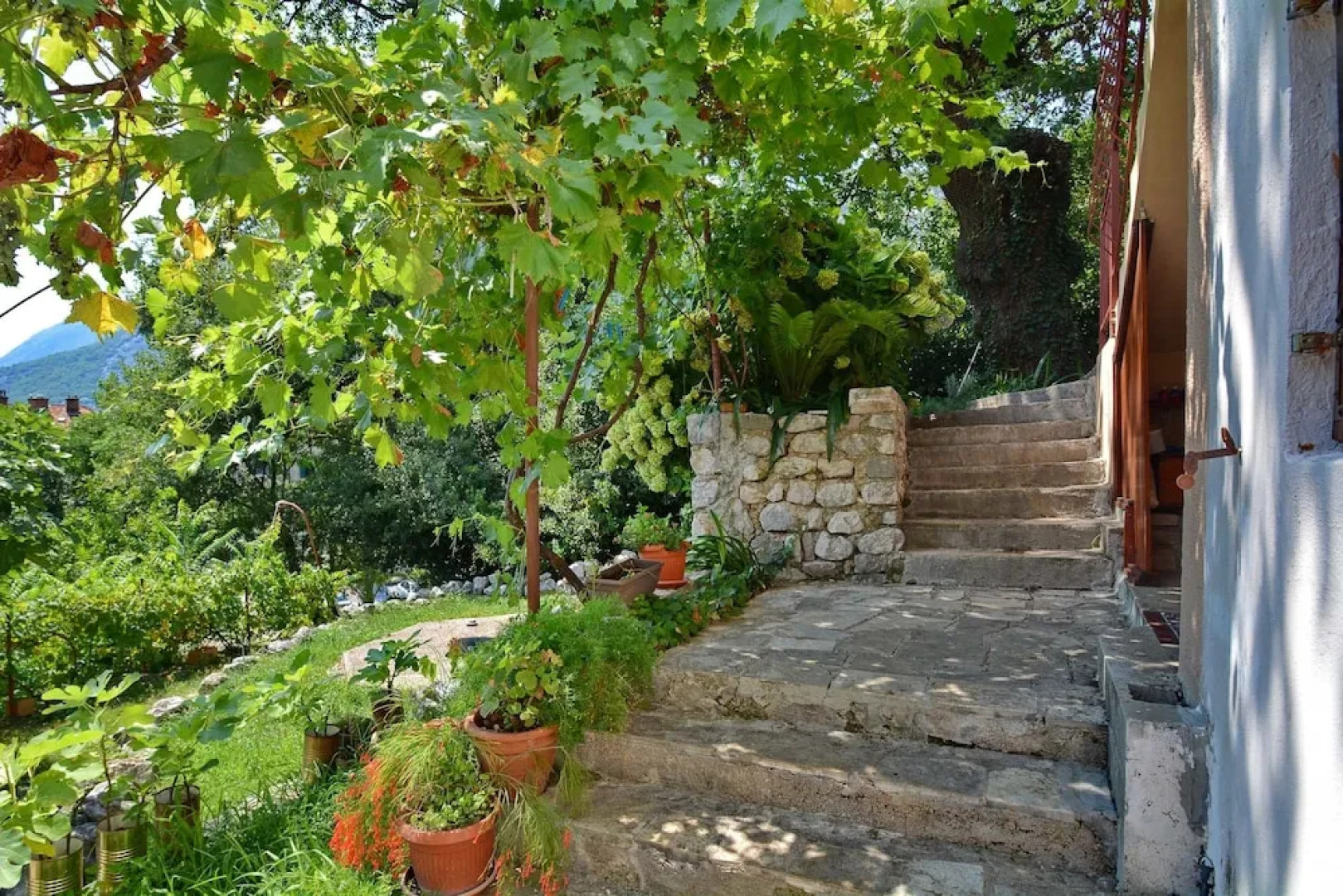 Apartments Risan Center