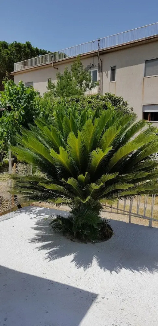 Villa Elvira Country House