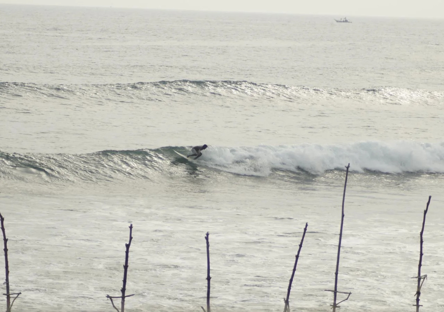 We Are Surfers hotel