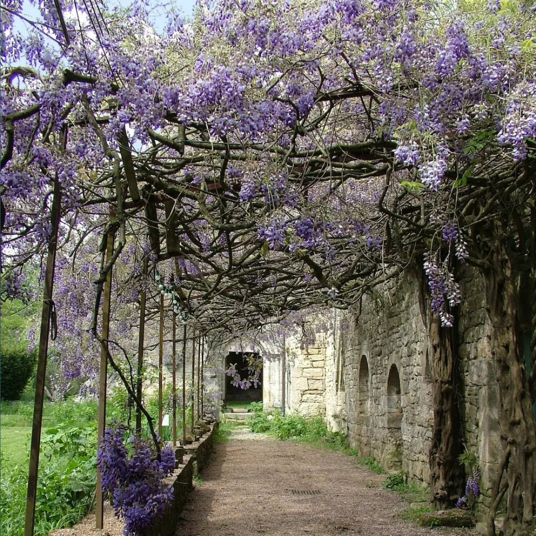 Abbaye De Villelongue