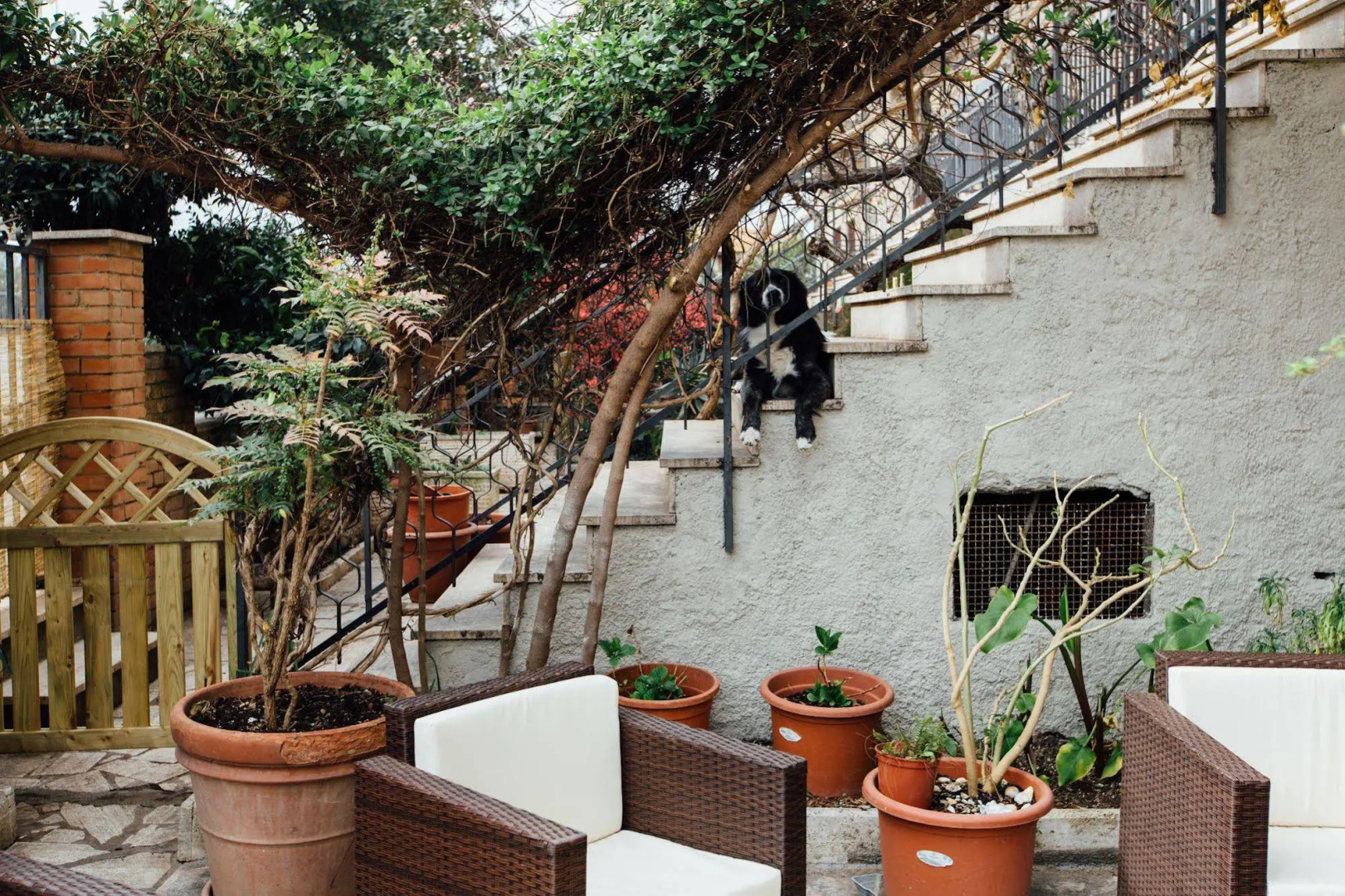 Hotel Cala Di Forno