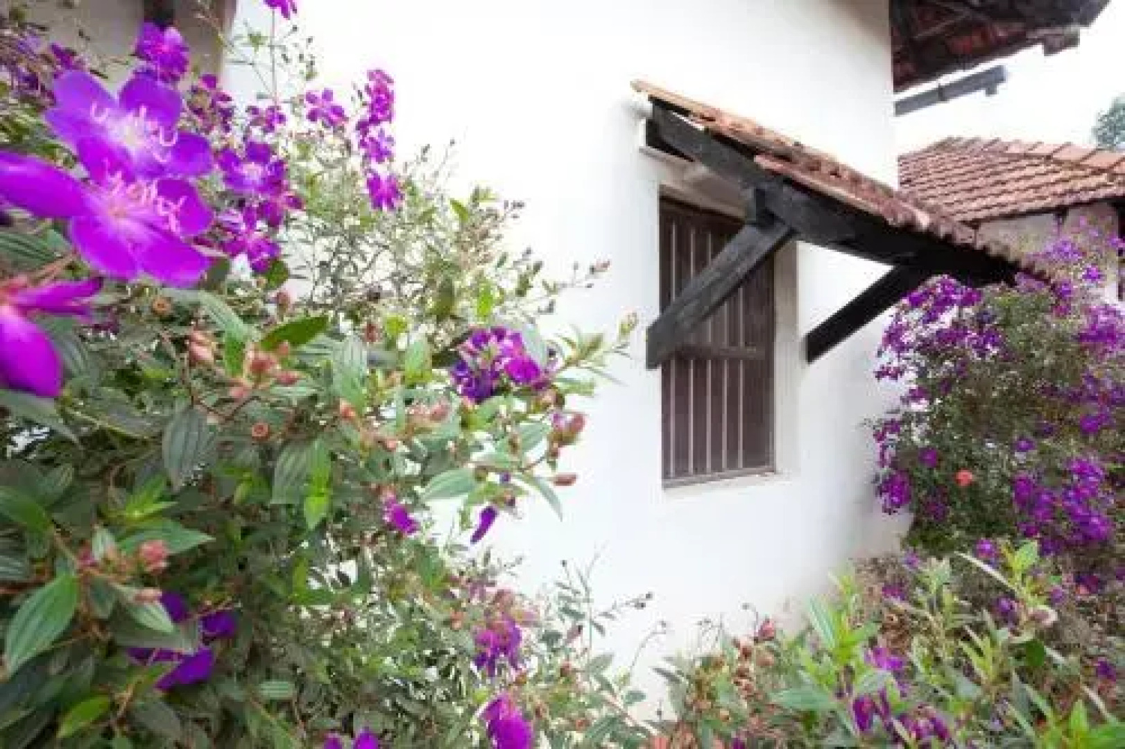 The Blue Mountains Estate Stay